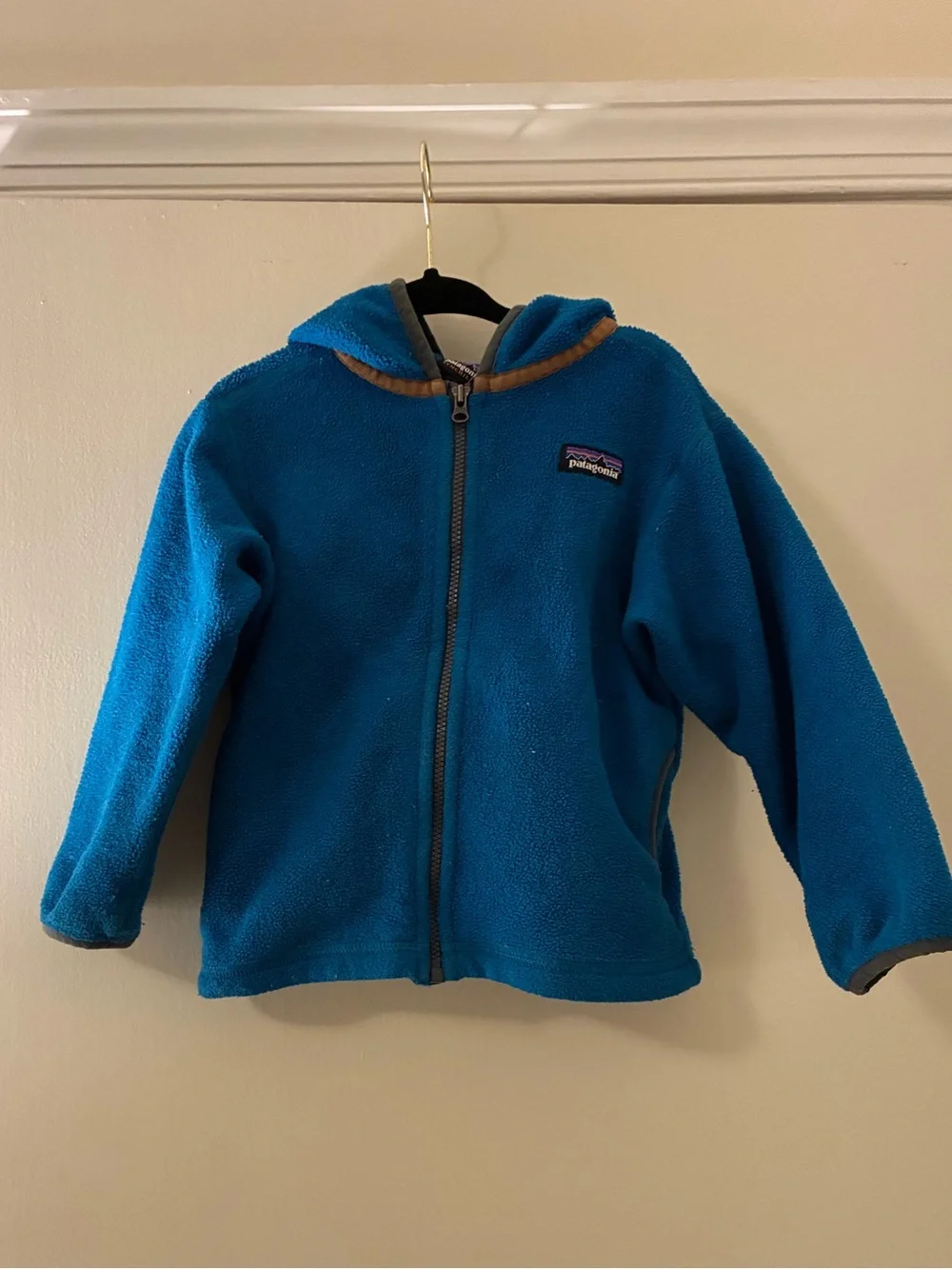 Patagonia Kids Teal Blue Full-Zip Fleece Hoodie